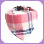 Collar-035